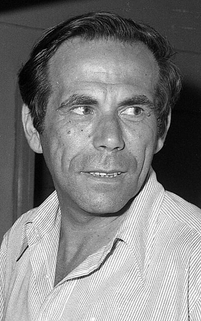 Stef Wertheimer
